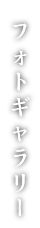 フォトギャラリー
