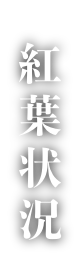 紅葉状況