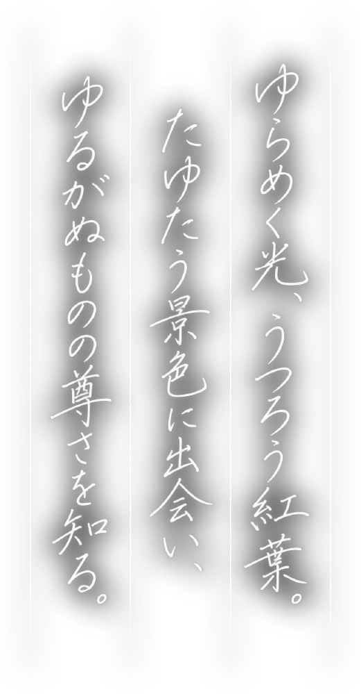 ゆらめく光、うつろう紅葉。たゆたう景色に出会い、ゆるがぬものの尊さを知る。